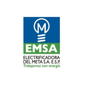 LOGO EMSA-min